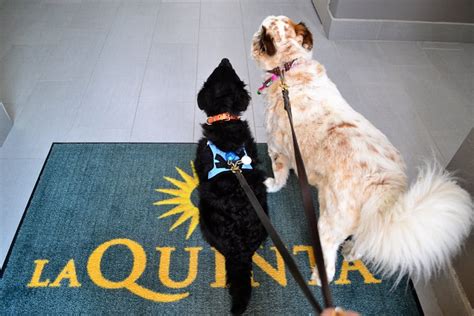 There is a designated pet relief area for. . Is la quinta pet friendly